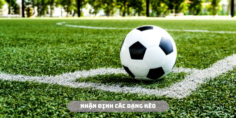 Những dạng cược được cộng đồng quan tâm nhiều nhất