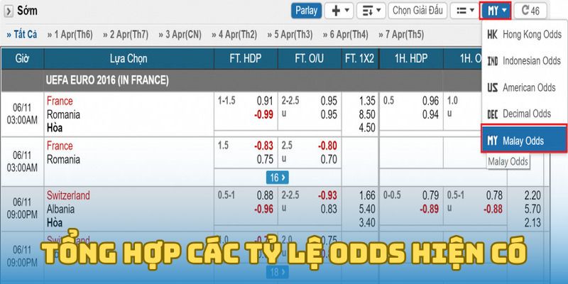 Tổng hợp các tỷ lệ odds hiện có